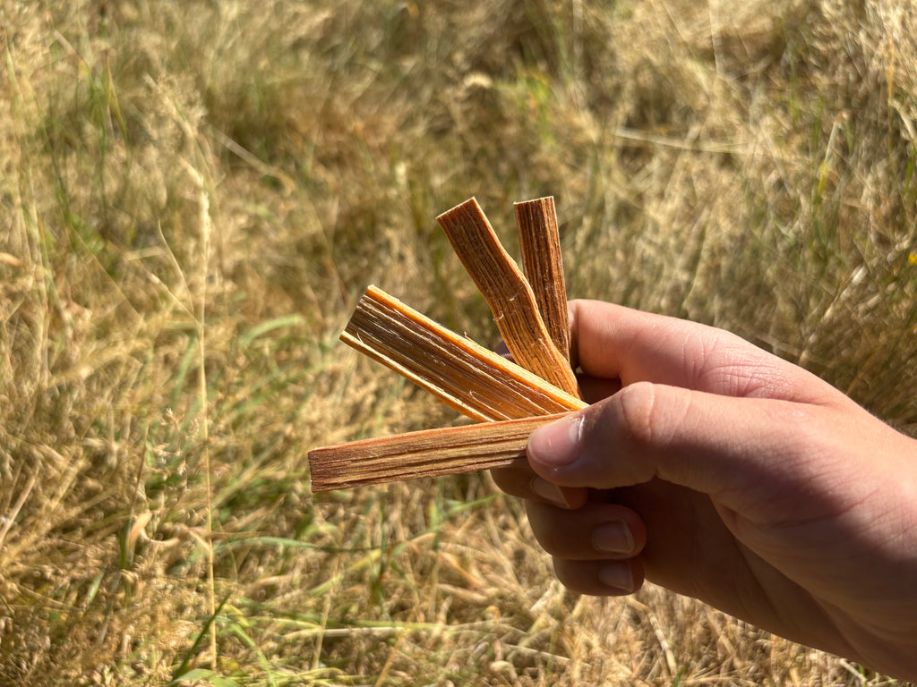 Tinder tin